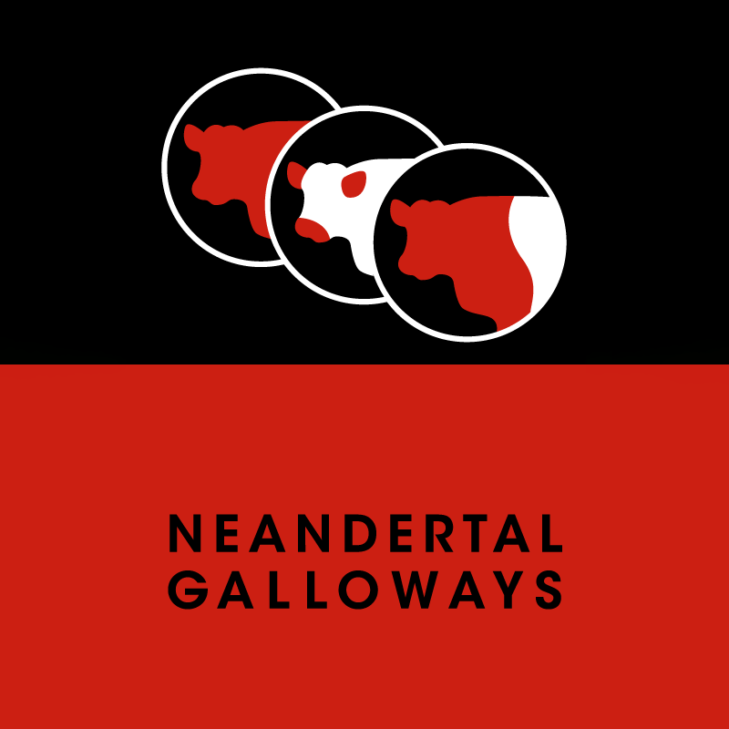 Neandertal Galloways